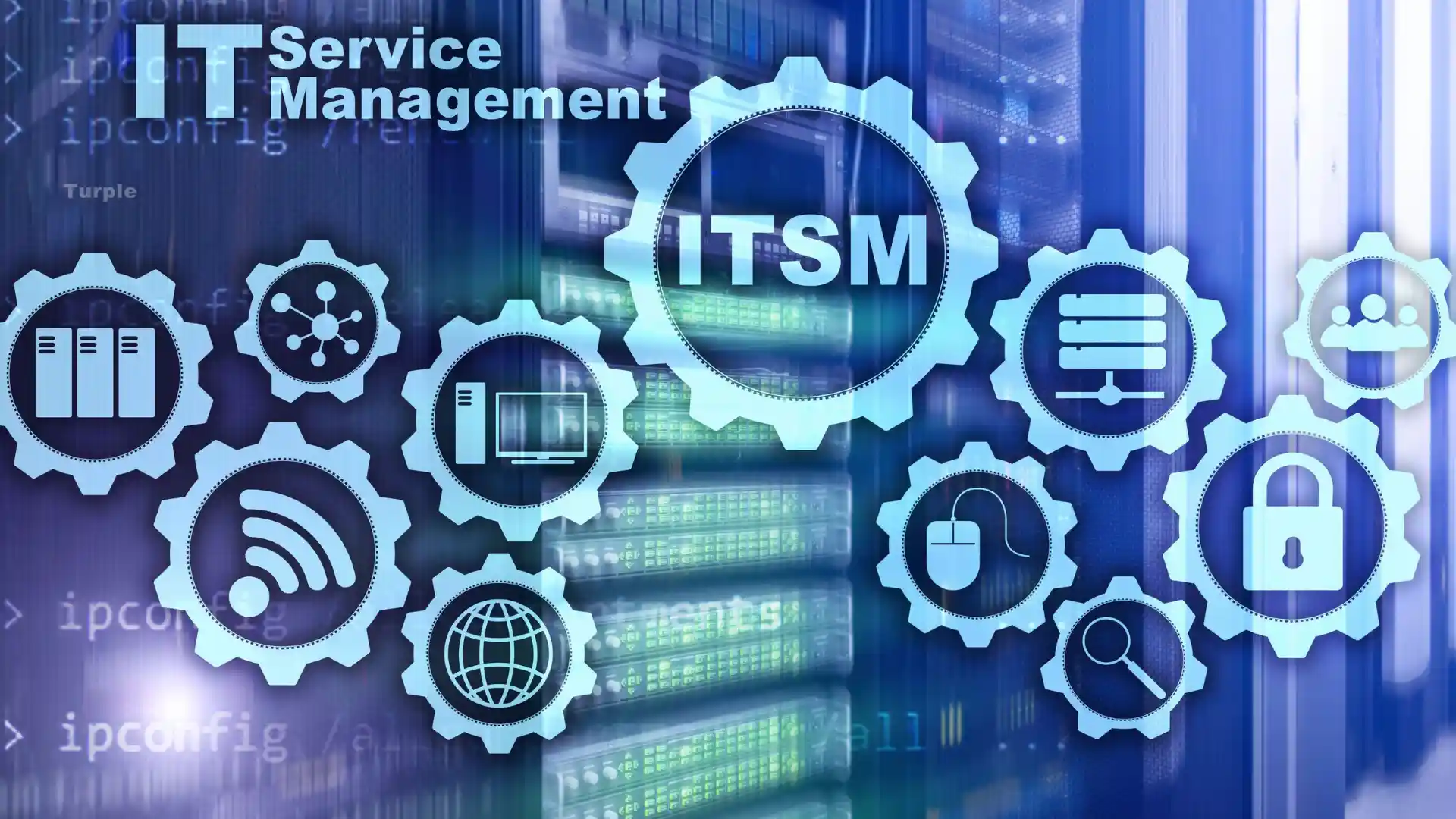IT Manage Services - By Turple California